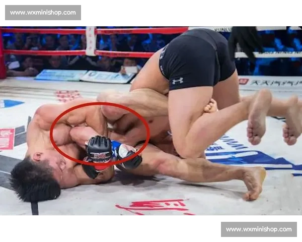 中华虎杨建平精彩对决全程回顾 技术与实力的完美碰撞